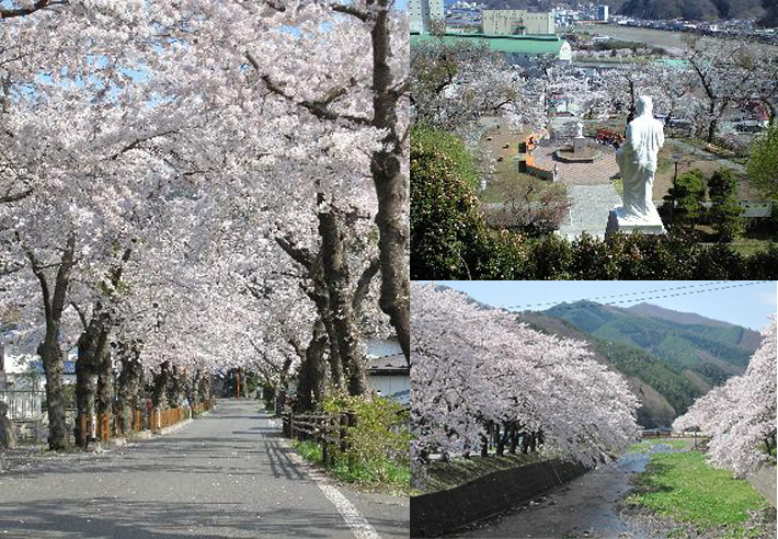 桜の名所